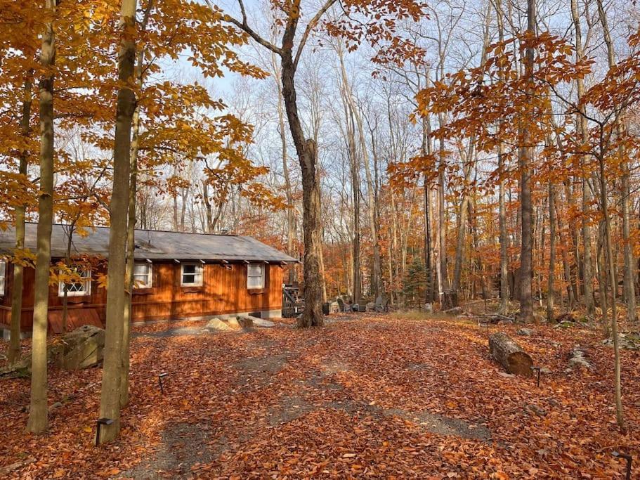 Stylish And Cozy Cabin, Walking Distance To Big Bass Lake Gouldsboro Exterior foto